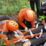 Manfaat Selada Air untuk Kesehatan: Superfood Kaya Nutrisi yang Wajib Dicoba